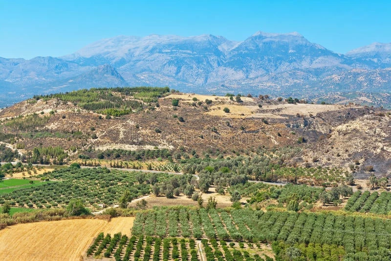 Δείτε τι πωλείται στην Κρήτη και θα μείνετε με το στόμα ανοιχτό – Δεν έχει ξαναγίνει πουθενά
